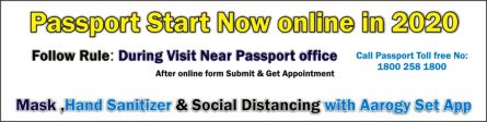 Passport online Now 2020